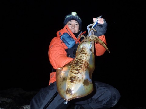 ufxiitwao2j3w622x39u_480_480-a4877566.jpg