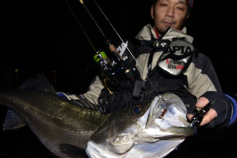 ug58yu7kczhuwnmrbg4a_480_480-7c1c16d0.jpg