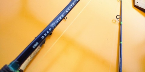 ug84m6ppgzghmg5feeew_480_480-28a585dc.jpg