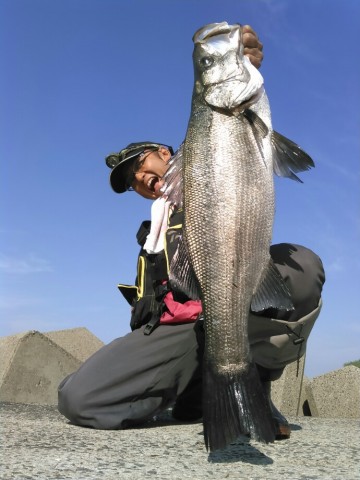 ugfidjw5puazo7yzpne8_690_920-01d9b5f1.jpg