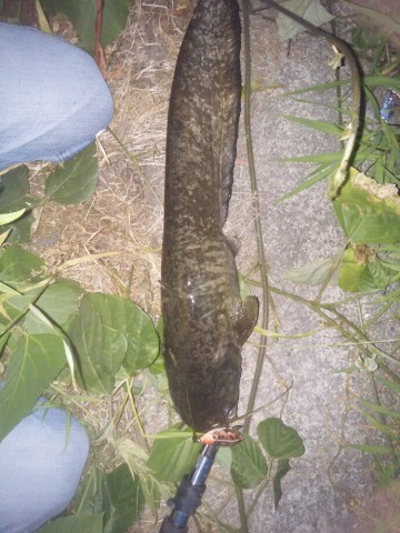 ugkzyi42fk8u5ihudy2c_690_920-242eeb4b.jpg