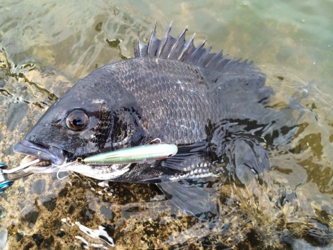ugmh8g9k24u5h5aji528_920_690-2a2fc1c1.jpg