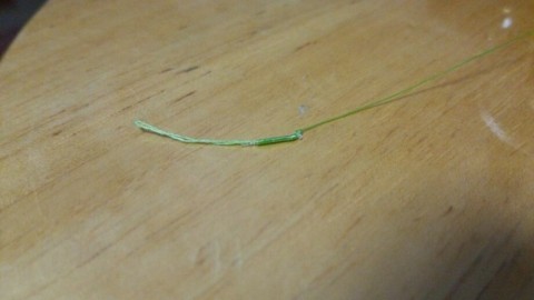 ugwc3hdimvhtk2ibsgxy_920_518-3f681b7e.jpg