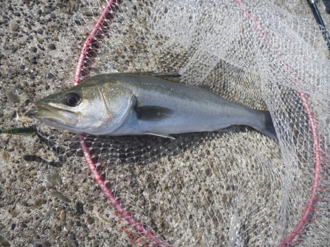 ugwk98gaj257krptsd2e_920_690-3c042387.jpg