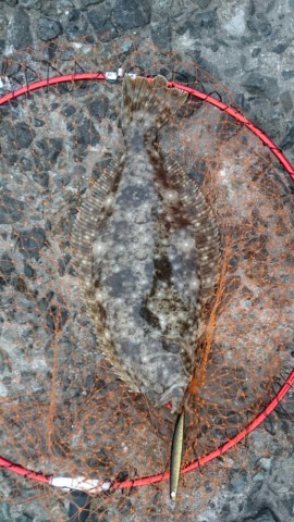 ugyj5zjokj3zgcwrsb66_518_920-b394c3f2.jpg