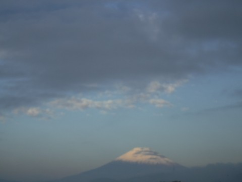ugyrcuu88g7fh3bga4yj_480_480-44e773cb.jpg