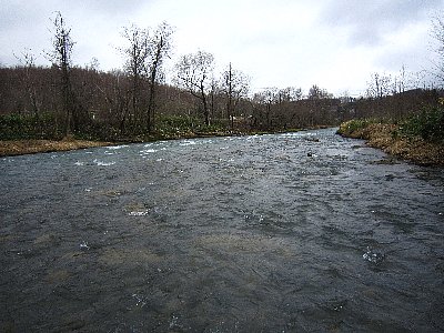 ugzpsfxrygrjty7dgvzw-c61a7d31.jpg