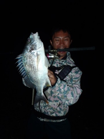 uhbbpohw77gk9mimchho_480_480-c73141df.jpg