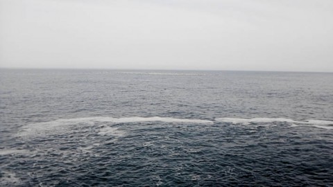 uhinspfdjncw5h75vzgv_480_480-4e3d4808.jpg