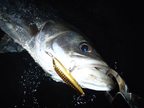 uhk3j3gmjx97fo4rrui9_920_690-33349915.jpg