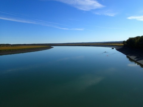 uhkoct778n6nbohwzzw8_480_480-2e96b976.jpg