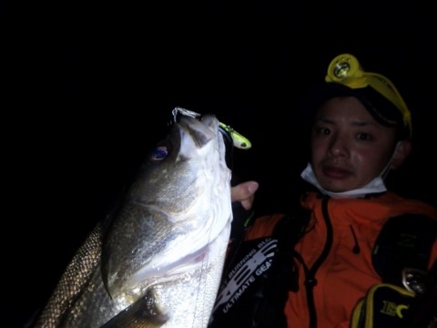 uiewp9svibpo46kekb6s_480_480-45b34966.jpg