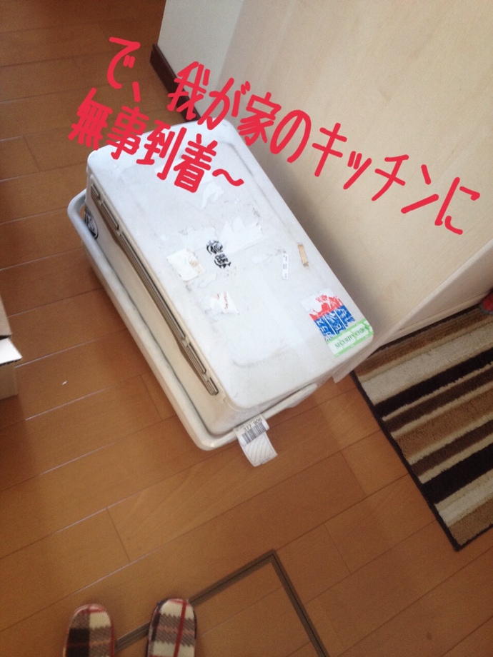 uijwf8afd36roie7og86_690_920-4ac0ceaf.jpg