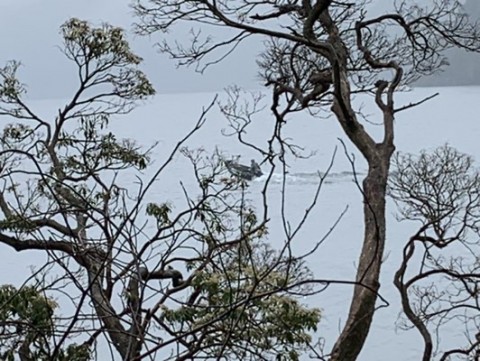 uiw99347sffrab3j9mgy_480_361-2c8ff6f8.jpg