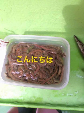 uiyoggjv3igewjxknofy_360_480-8da69a63.jpg