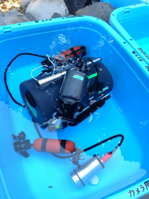 uj8hp45h9cum8mnaa3jm-009d3270.jpg