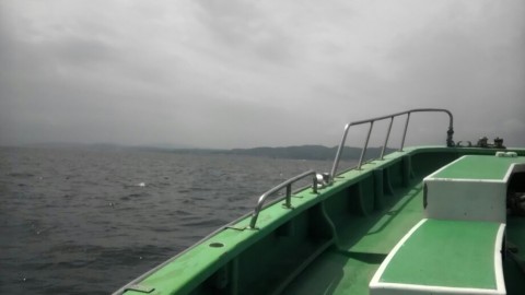 ujjke6c52vp4i2yokkce_920_518-d454d58f.jpg