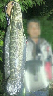 ujm77oueh66mnibx4zdb_178_320-d79ae3a1.jpg