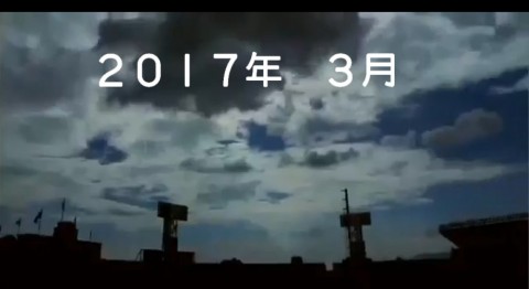 ujn7ayo28n6ywf9ai8dd_480_480-7e0b009f.jpg