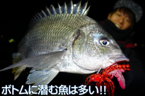 ujt28agcrzz2873w3po3_480_480-1c950704.jpg