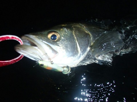 ujyaspxn6dgi7ernptut_920_690-e8b70682.jpg