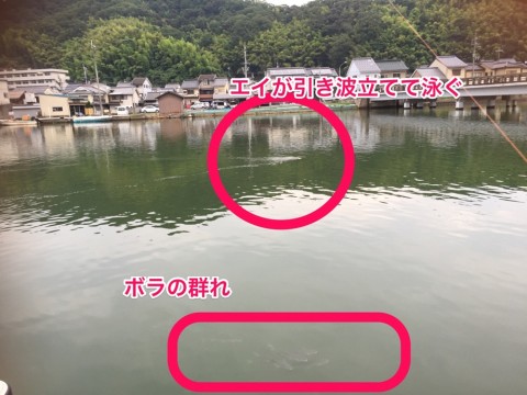 ukpku2ikon3g53hh6a6u_920_690-ce8f598a.jpg