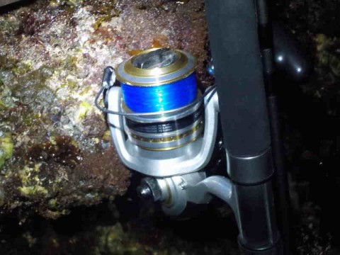 uksafe493mk425m5x3h9_480_480-d63ccdb6.jpg