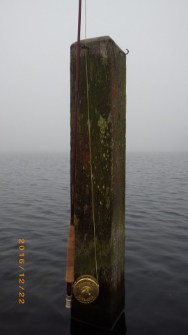 ukywi9wnkox7i9og5rta_480_480-6a08e7ca.jpg