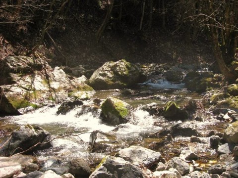 ukzwrindsr4fr333jc2y_480_480-3b615207.jpg
