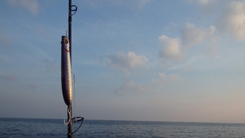ukzxv6okzjiboeb4n99x_480_480-81cc8ec5.jpg