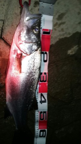 um6esg7xfo9offs5gawn_518_920-5cbfce42.jpg
