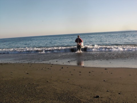 um7mgngb2oex685a83bs_480_480-c21646bc.jpg