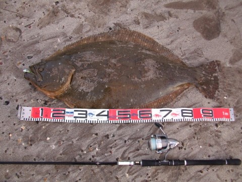 umkjywdfce4sefcxcpz6_920_690-a2777136.jpg