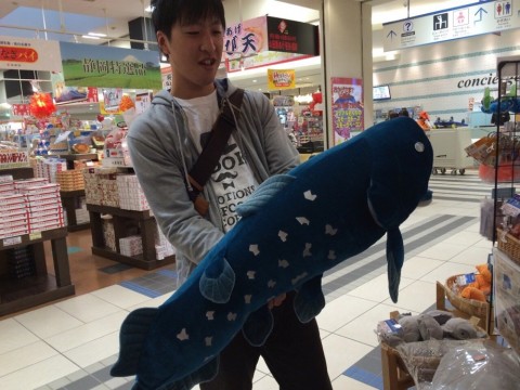 umkyhbff6fypb68j34tn_920_690-2ed22827.jpg
