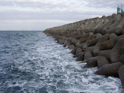 umm66hm5y8t8roxegns8_480_480-69a2ec41.jpg
