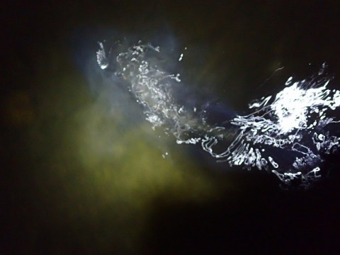 umpbbauhf578eb5hny2m_480_480-824f0a22.jpg
