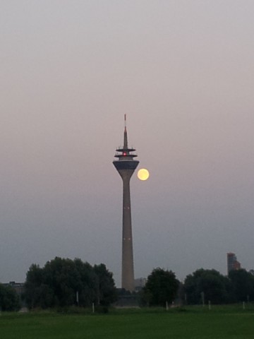 un63afazxibohbzobwgo_480_480-5f12b697.jpg