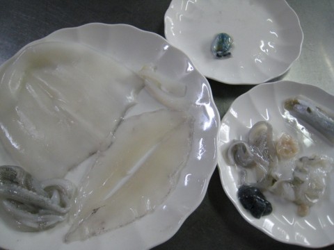 unbzpaphyochi8j7pfxp_480_480-4a39e26d.jpg