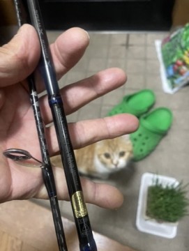 unfk6rmtirxh32uuekou_361_480-783fde32.jpg
