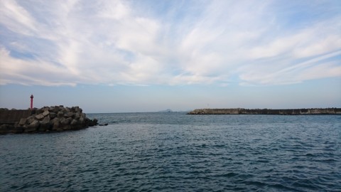 unucg3zb382t9jzdmbmr_480_480-cf6df339.jpg