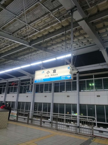 unuk4exkhgtpkyv53cmg_480_480-87b26947.jpg