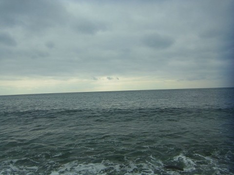unvo86bndxxfwehejhtw_480_480-8aa6e991.jpg