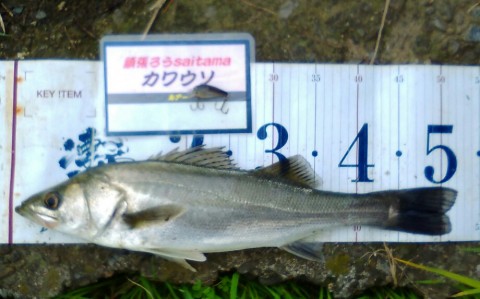 uo6yxjb5ipt4zggmcd9f_920_573-d779eddd.jpg