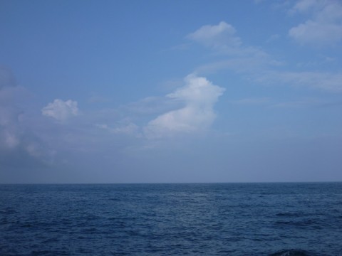uo7sjc3mfeig2tpoi5b9_480_480-6cccfc55.jpg