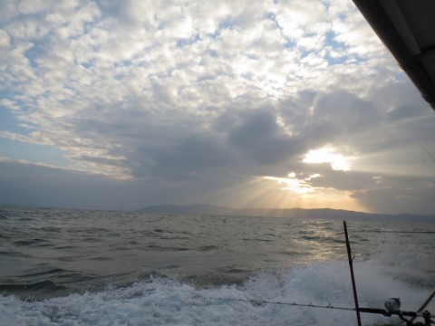 uohkmtp2jxvy42e8xwb9_480_480-1b756646.jpg