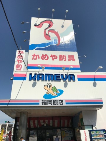 uomkwdywdbew5ss5prf4_690_920-39b102ac.jpg