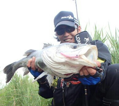 uot7grvio33jbtozn7in_388_346-4ab15c37.jpg