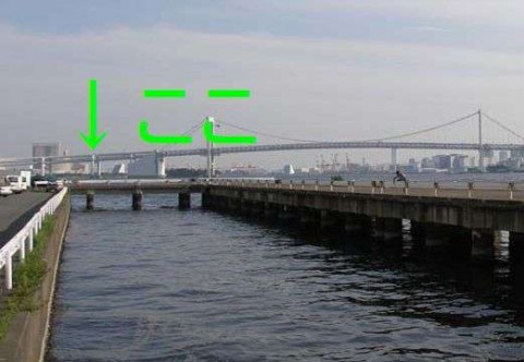 uov56iuecg6gpjxdv3zu_480_480-380c7936.jpg
