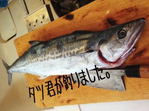 up38xshcoktfn7ikceuy_920_690-a476b9a7.jpg