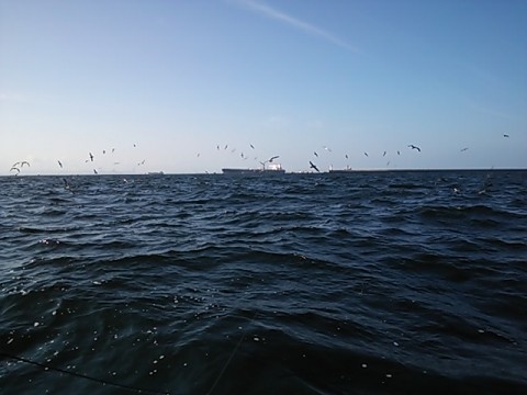 up547mnyc2a9w9d82dvy_480_480-9f9eb7a4.jpg